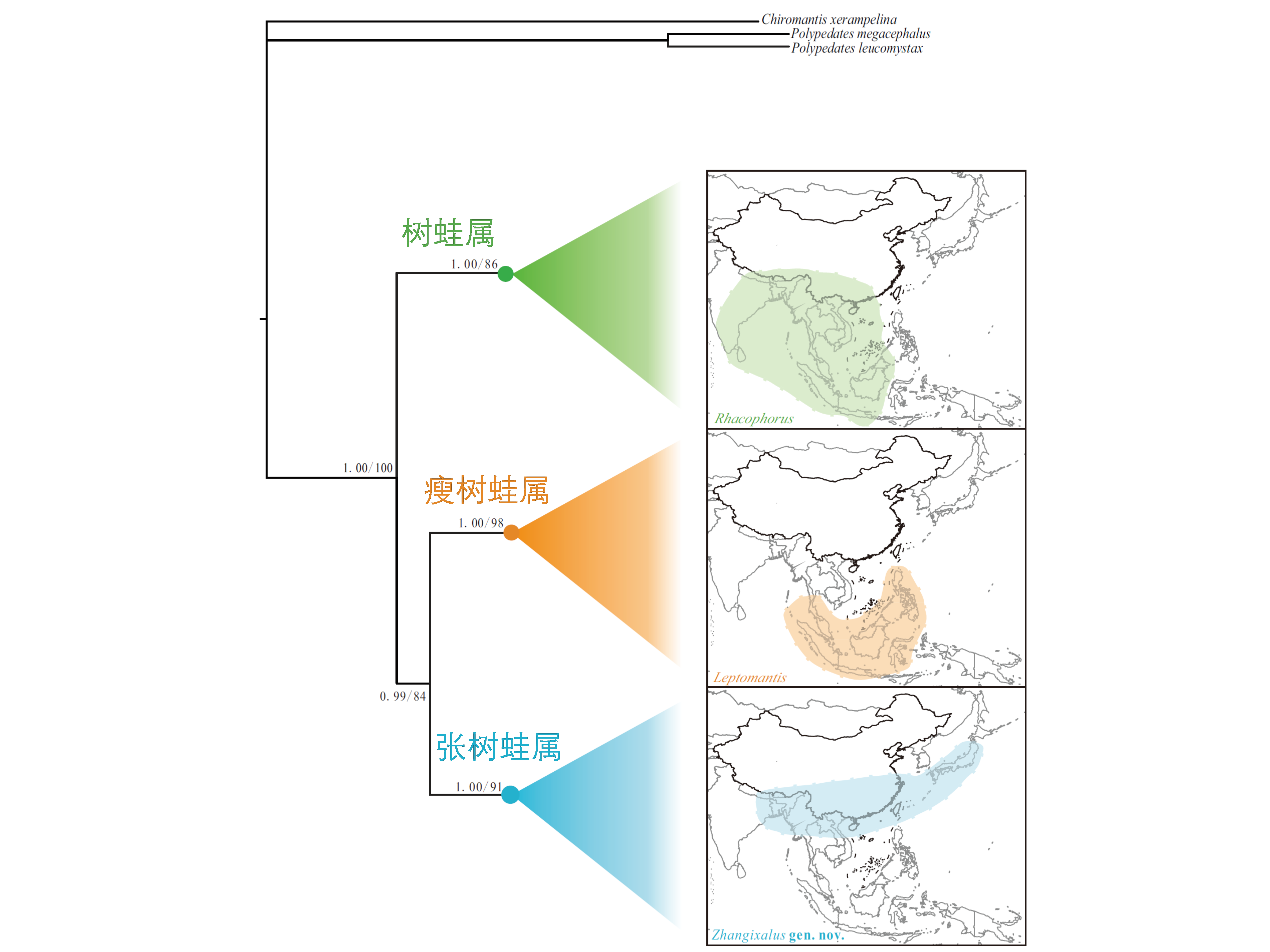 生命之树