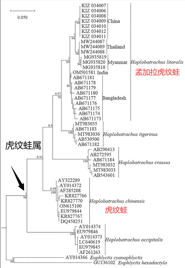 生命之树